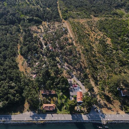 Готель Parque De Campismo Orbitur Сан-Жасінту Екстер'єр фото
